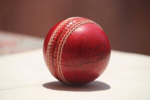 Tactics Gear Cricket Ball